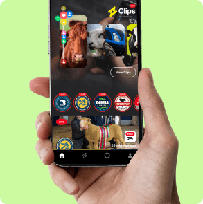 MartEye Live App